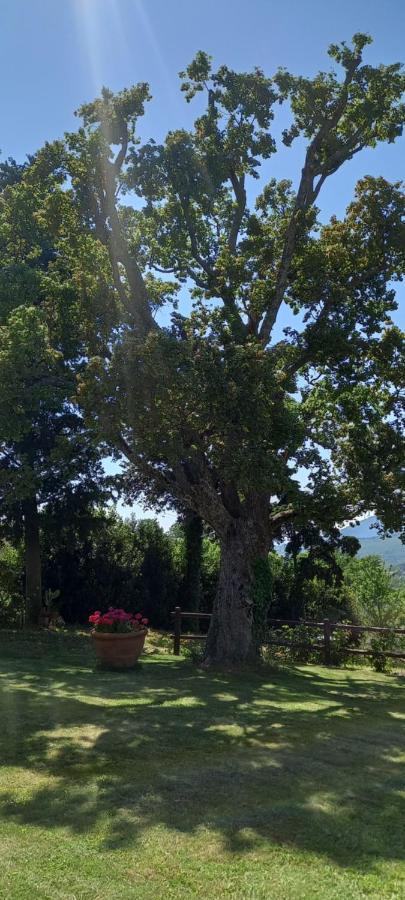 فندق Poggio Al Sole فيسولي المظهر الخارجي الصورة