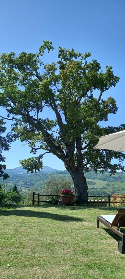 فندق Poggio Al Sole فيسولي المظهر الخارجي الصورة